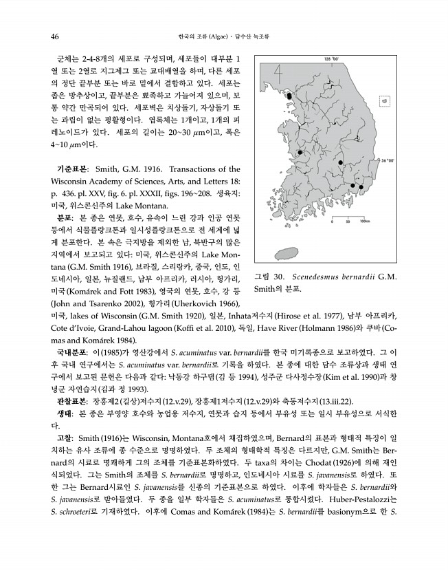46페이지