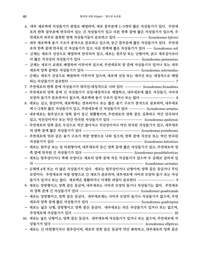 48페이지