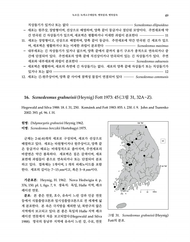 49페이지