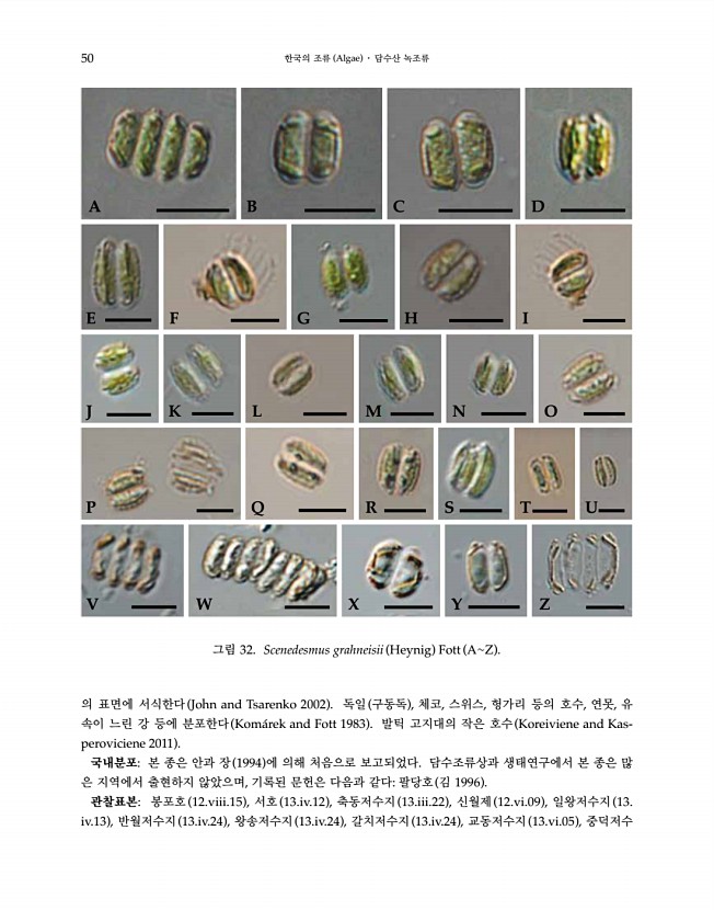 50페이지