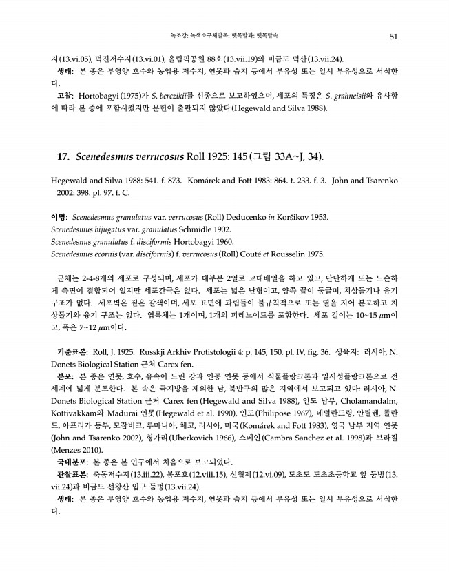 51페이지