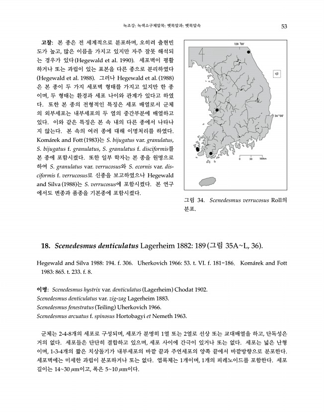 53페이지