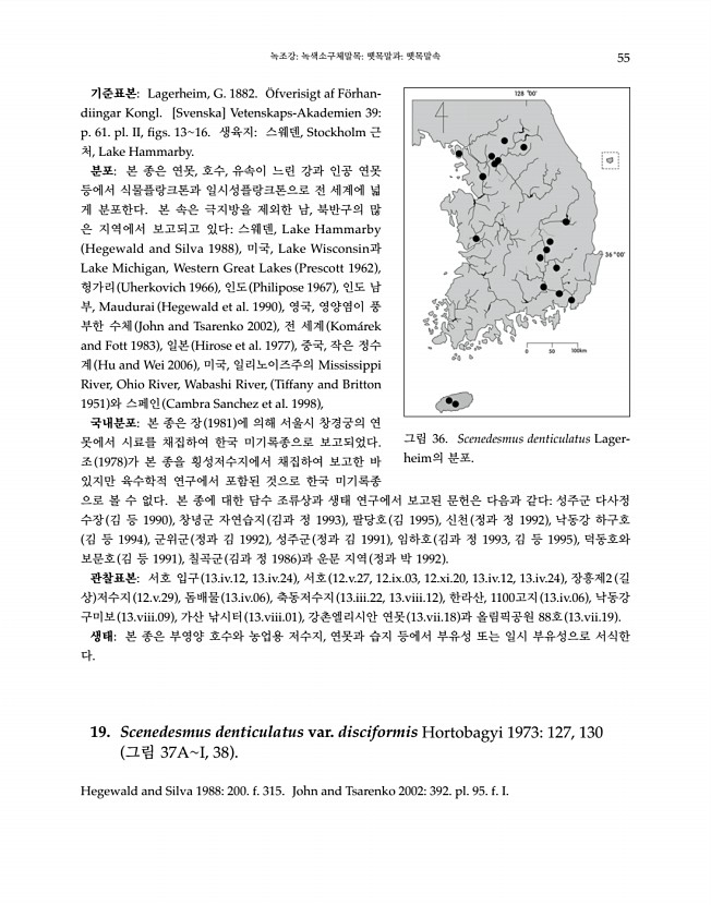 55페이지