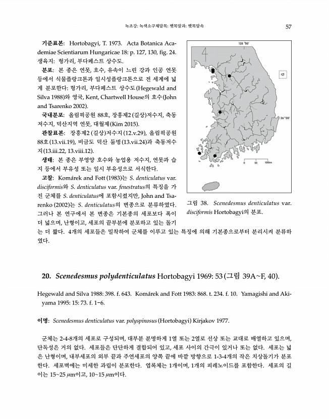57페이지