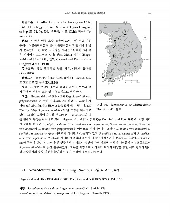 59페이지