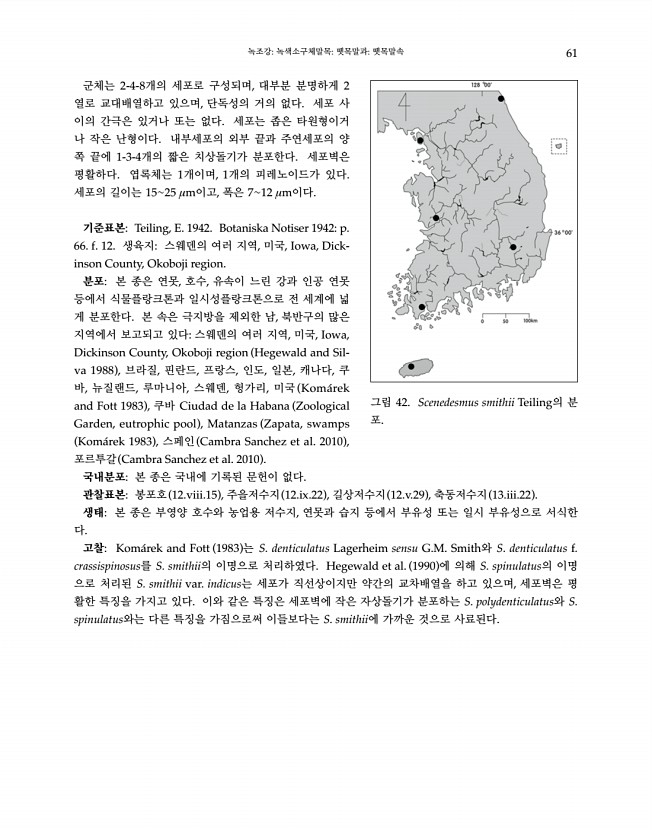 61페이지