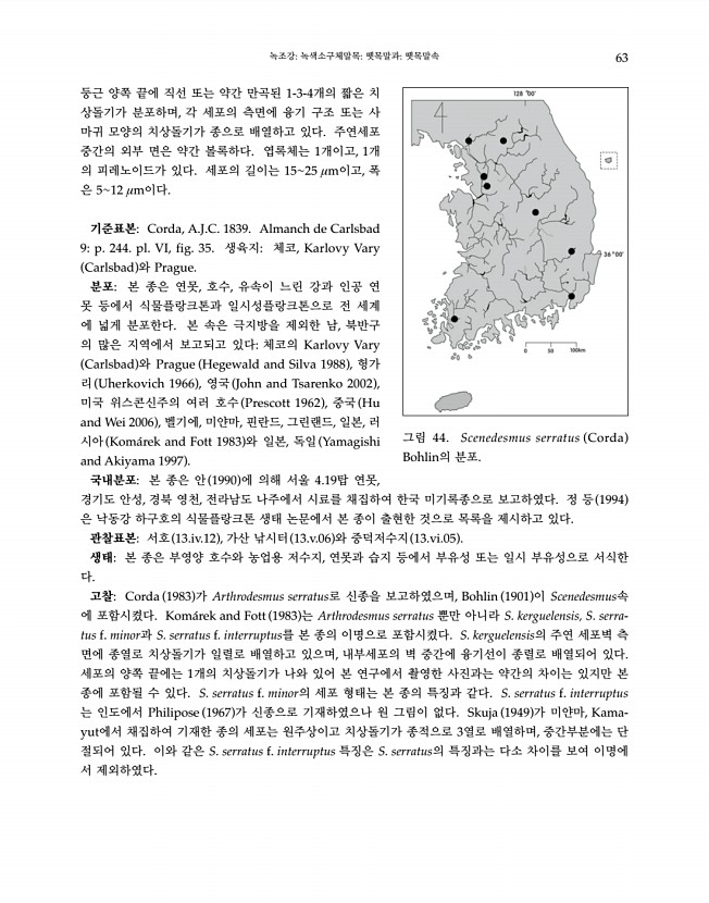 63페이지