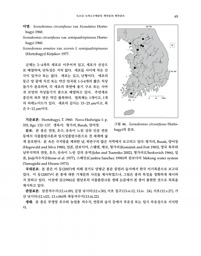 65페이지