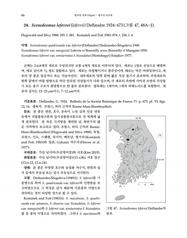 66페이지