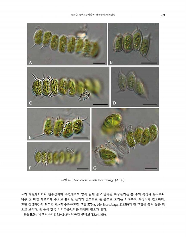 69페이지