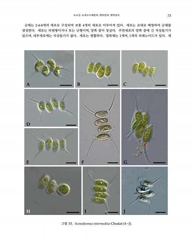 73페이지