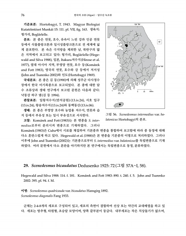 76페이지