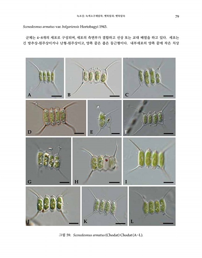 79페이지