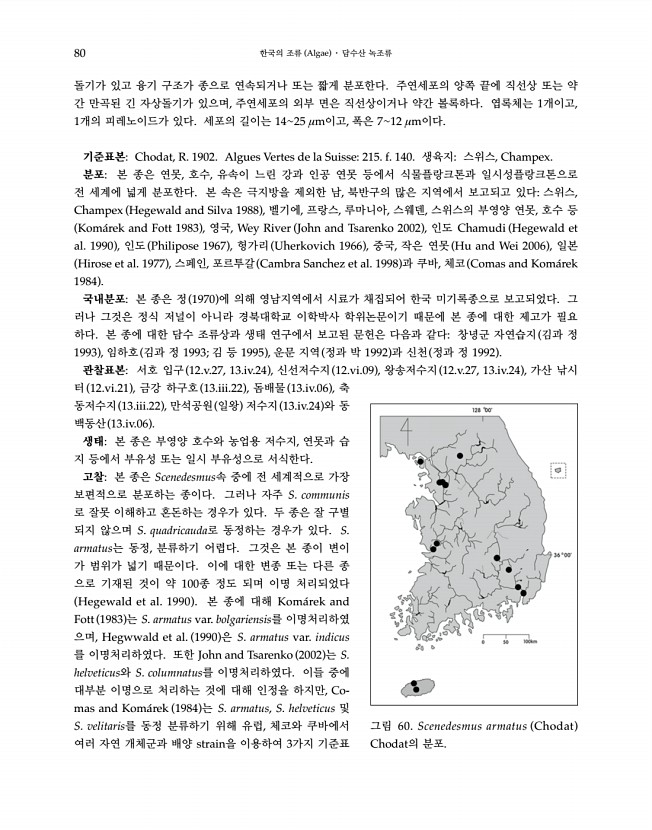 80페이지