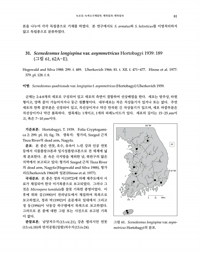81페이지