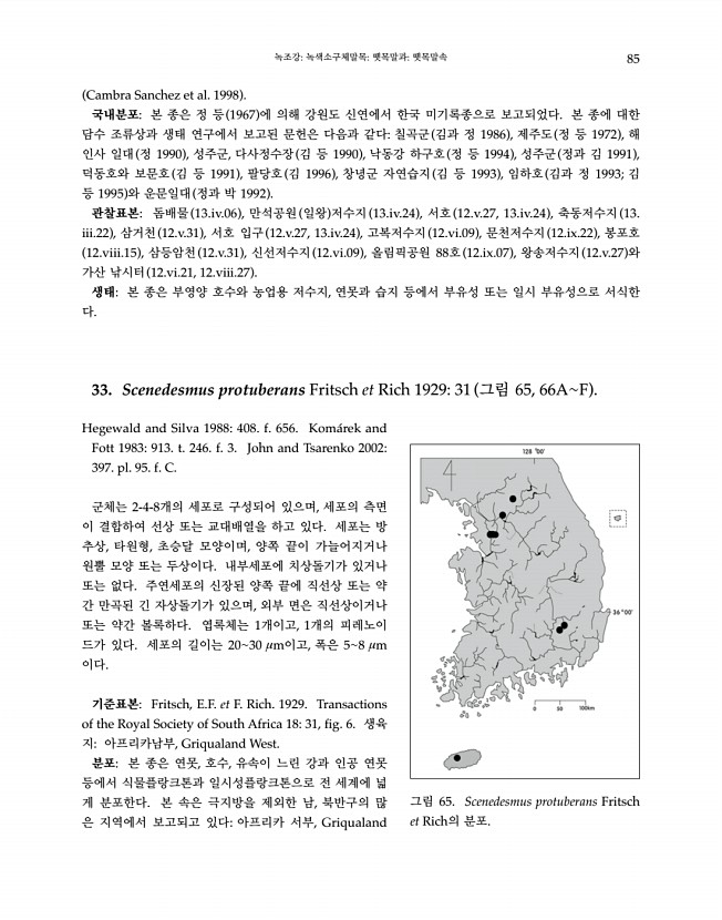 85페이지