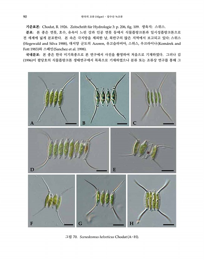 90페이지