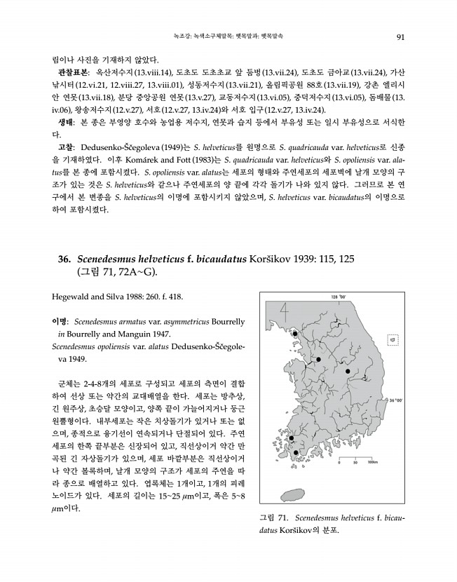 91페이지