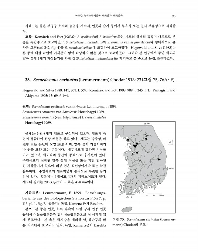 95페이지