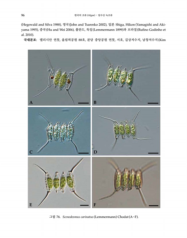 96페이지