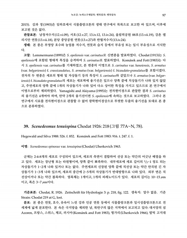97페이지