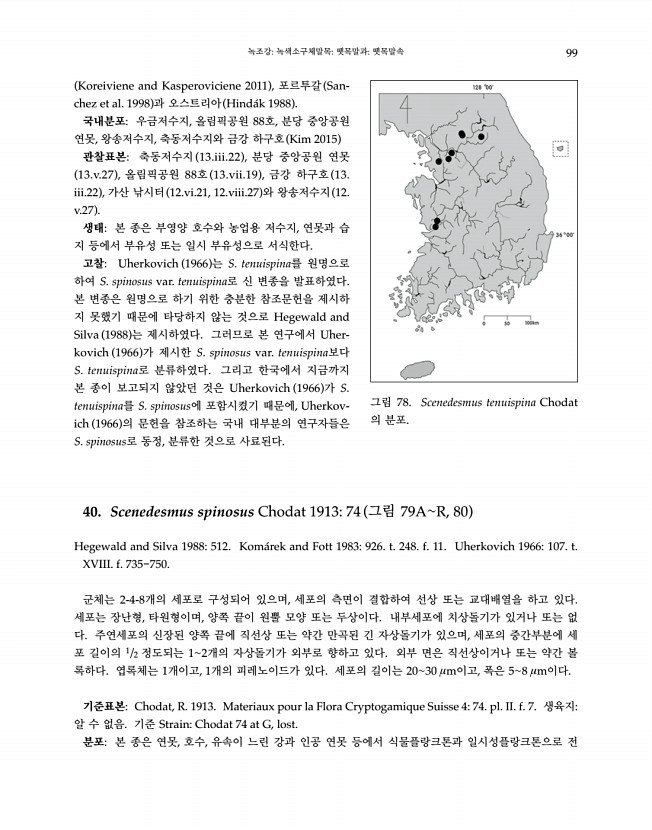 99페이지