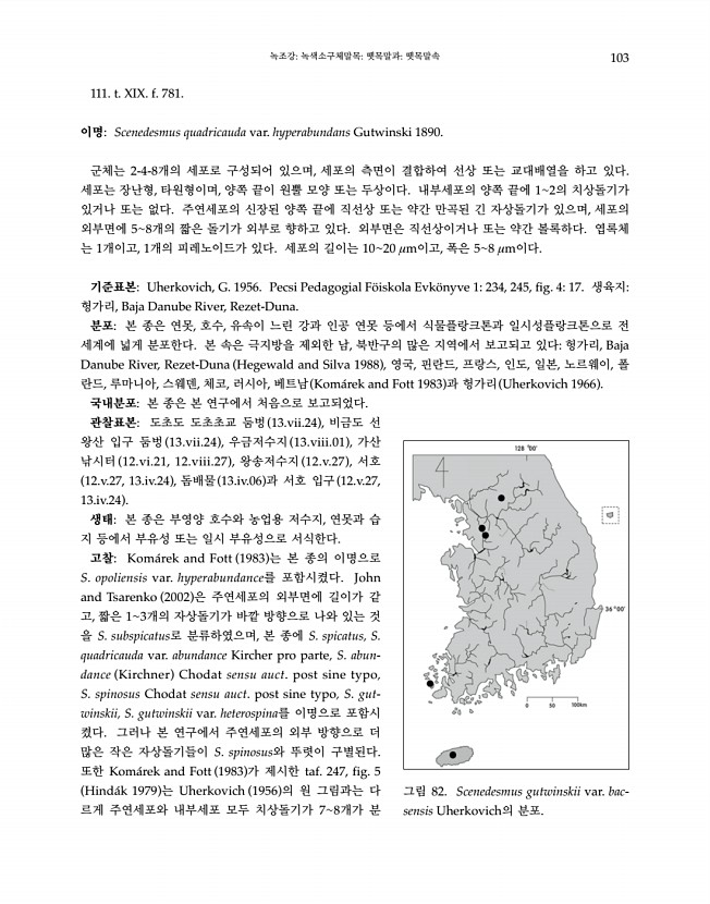 103페이지
