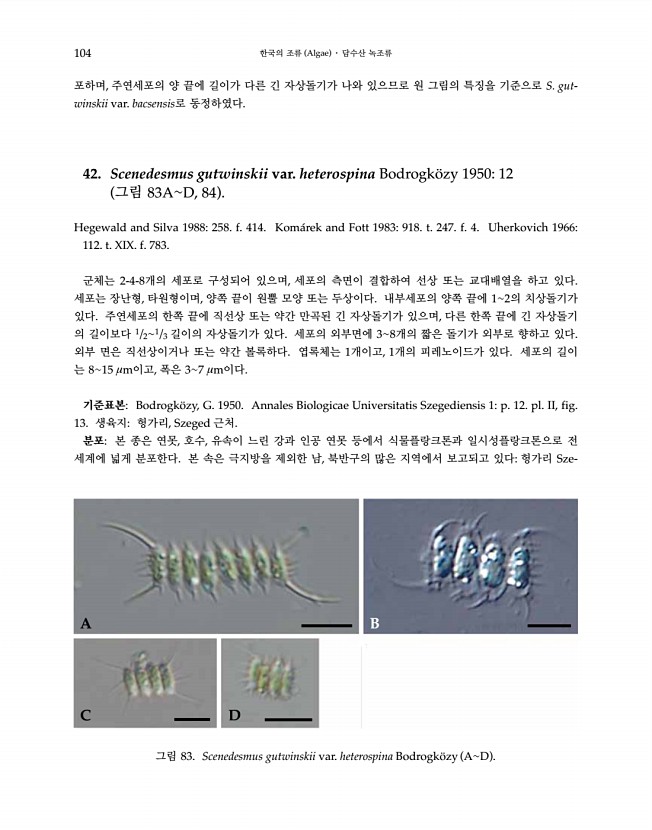 104페이지