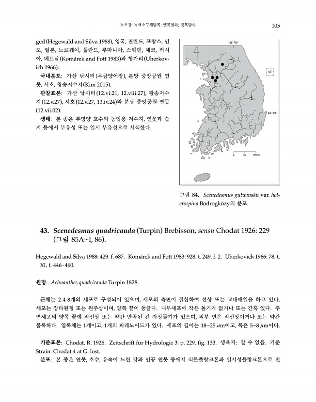 105페이지