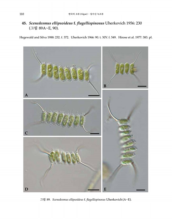 110페이지