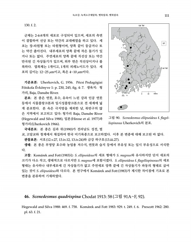 111페이지