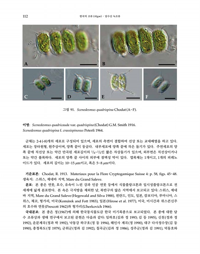 112페이지
