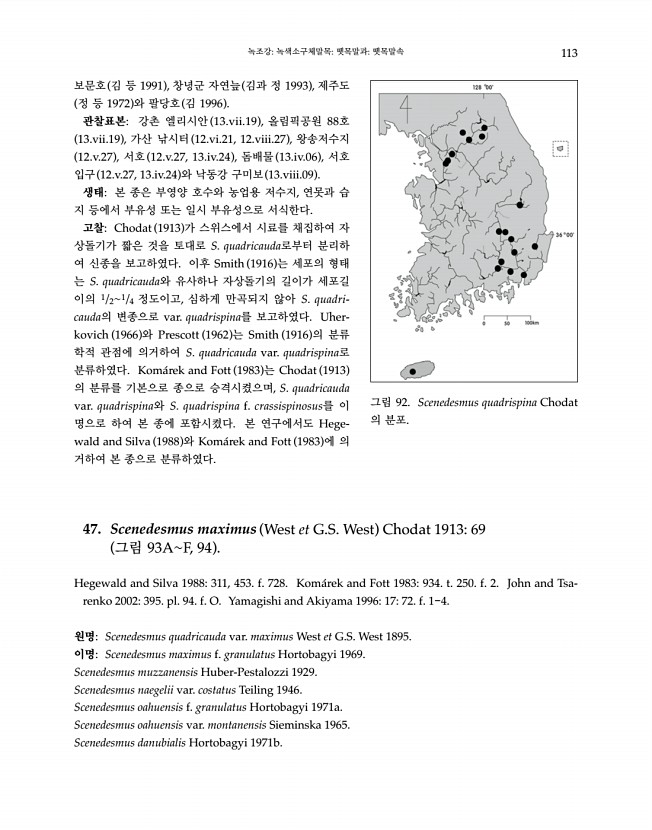 113페이지
