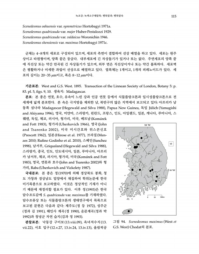 115페이지