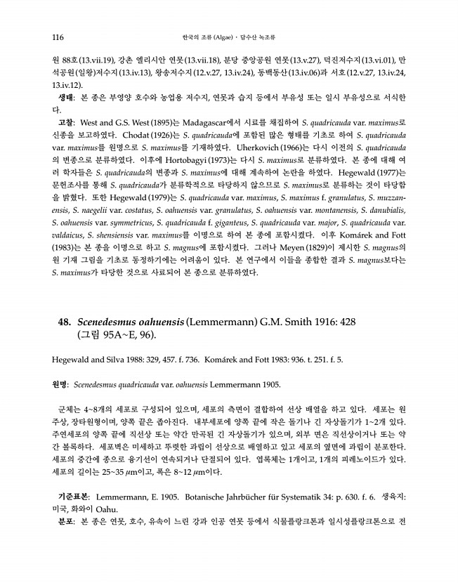 116페이지