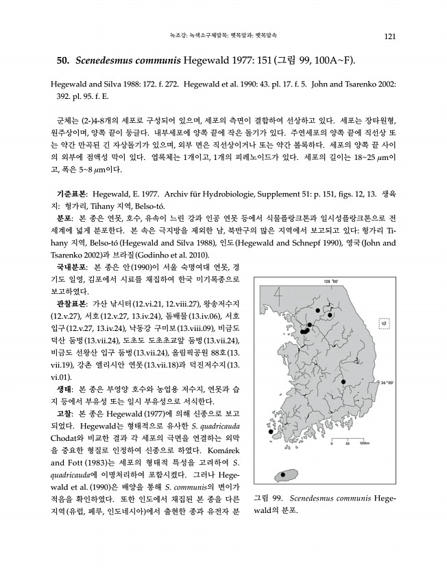 121페이지