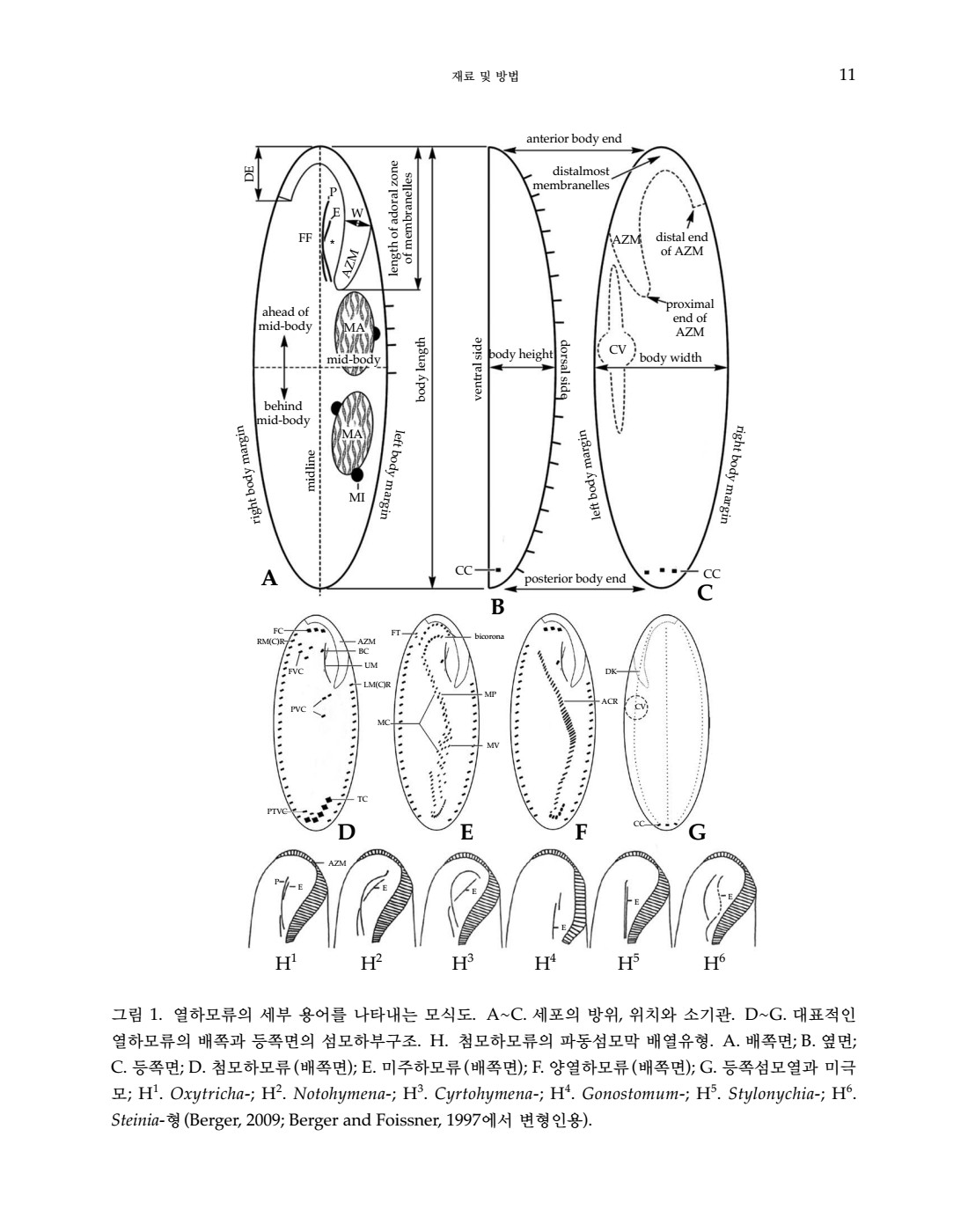 페이지