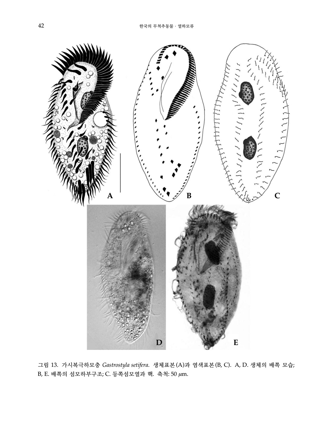 페이지