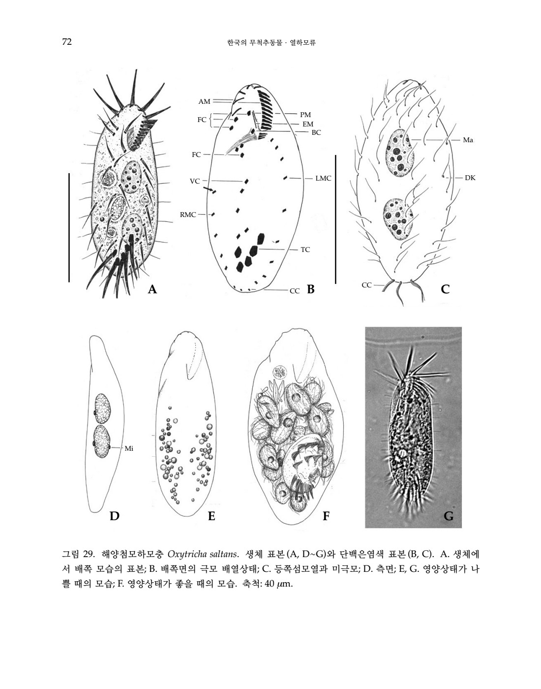 페이지