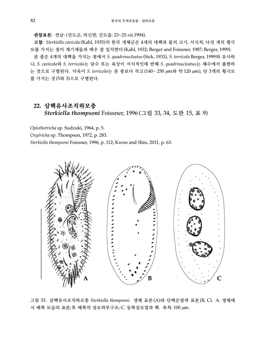 페이지