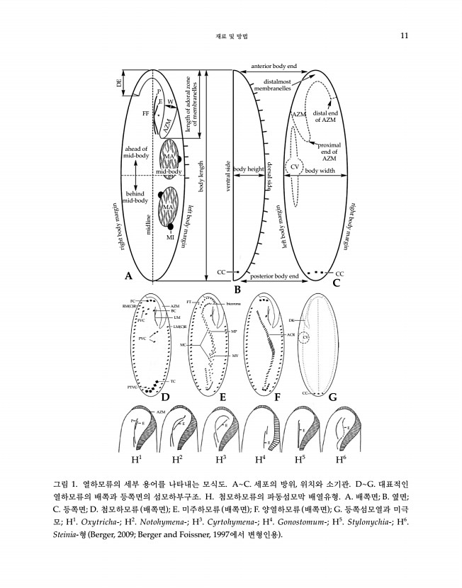 11페이지