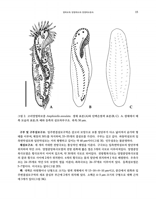 15페이지