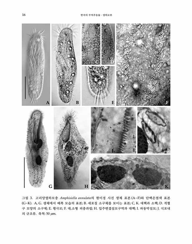 16페이지