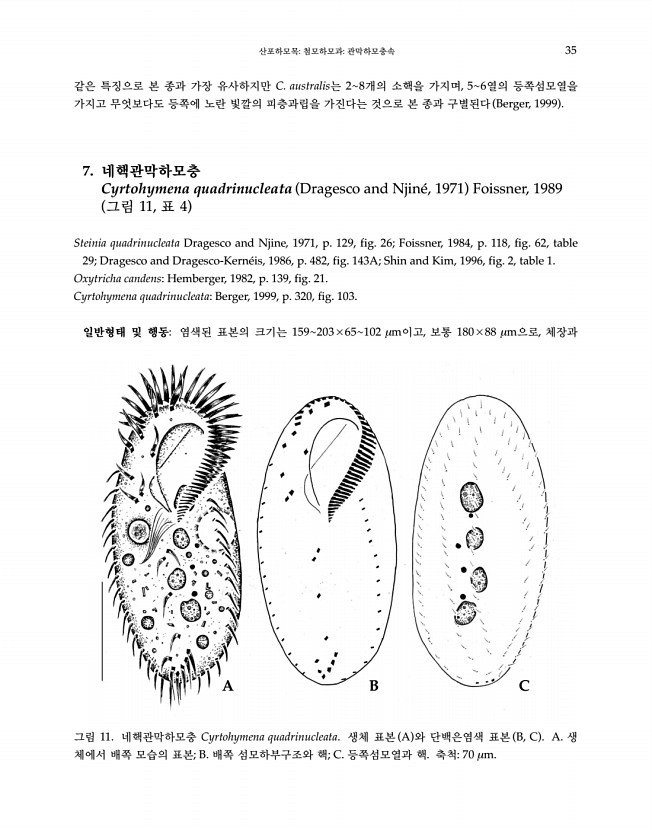 35페이지