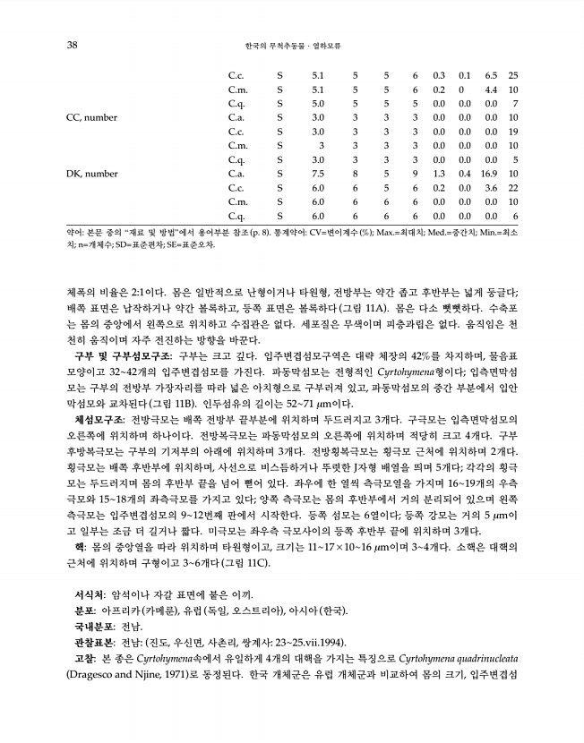 38페이지