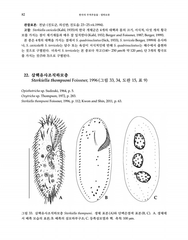 82페이지