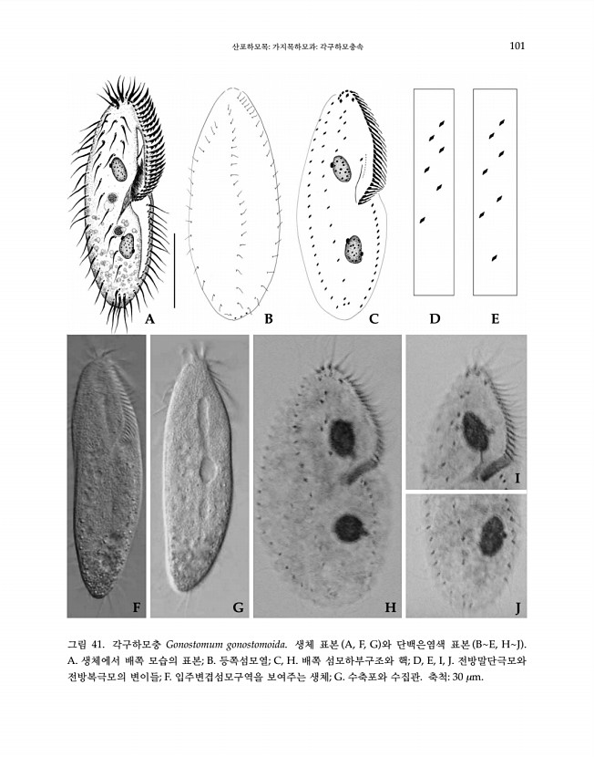 101페이지