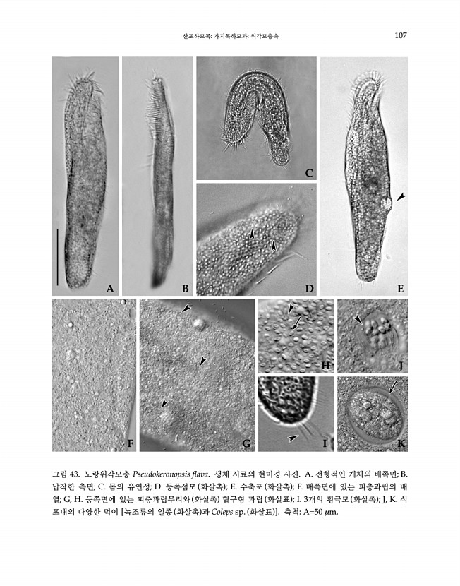 107페이지