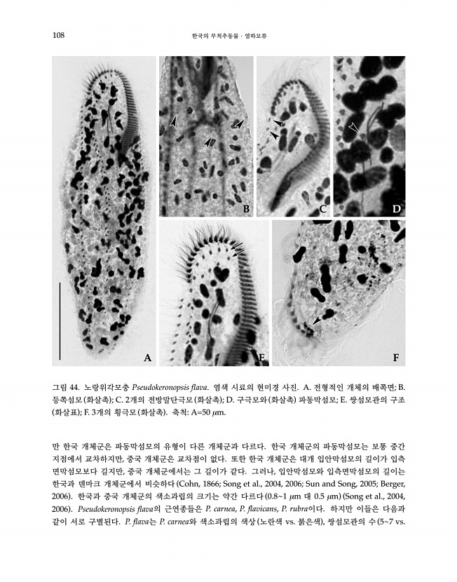 108페이지