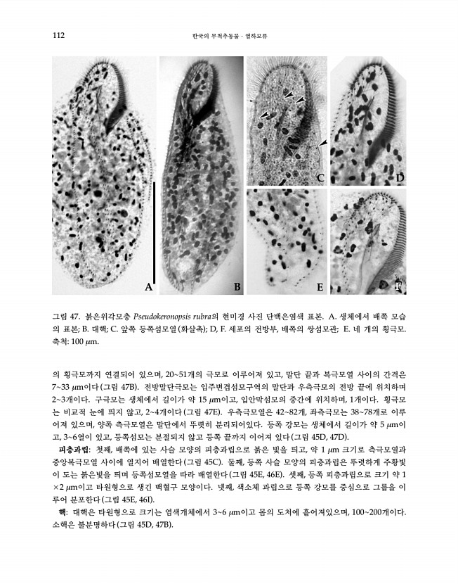 112페이지